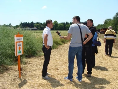 KWS Centralni dan polja pšenice, ječma, raži i uljane repice