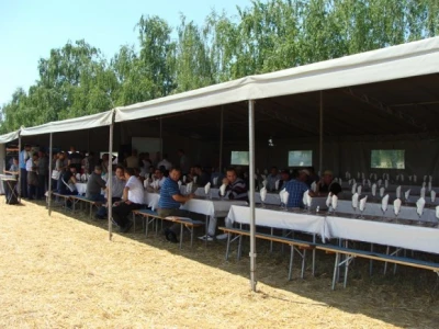 KWS Centralni dan polja pšenice, ječma, raži i uljane repice