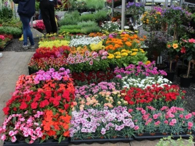 Floraart 2015.