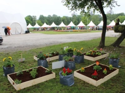 Floraart 2015.