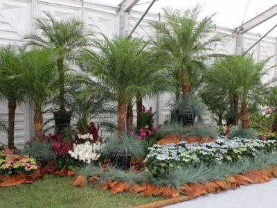 Floraart 2015.