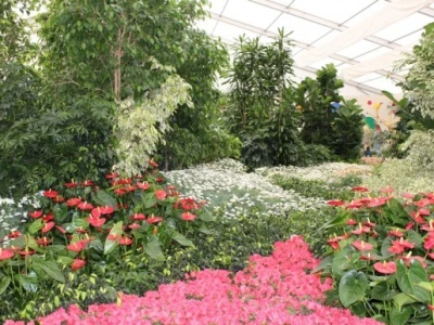 Floraart 2015.