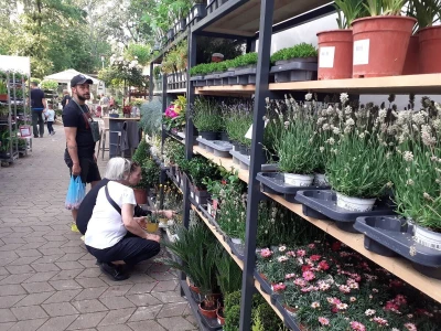 Floraart - Međunarodna izložba  cvijeća