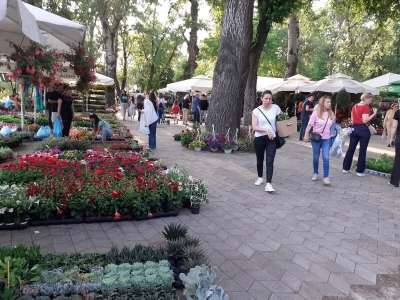 Floraart - Međunarodna izložba  cvijeća