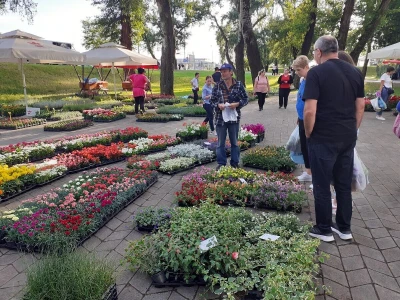 Floraart - Međunarodna izložba  cvijeća