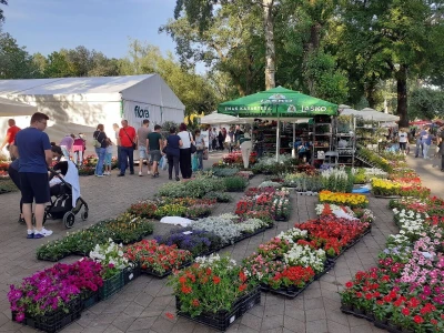 Floraart - Međunarodna izložba  cvijeća