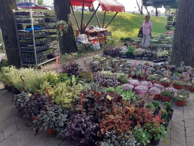 Floraart - Međunarodna izložba  cvijeća