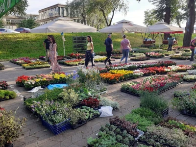 Floraart - Međunarodna izložba  cvijeća
