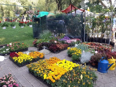 Floraart - Međunarodna izložba  cvijeća