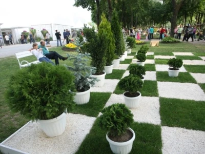 FloraArt 2012