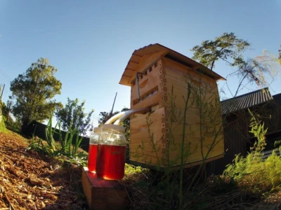 Flow Hive