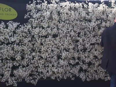 FOTO PUTOVANJE U KRALJEVINU CVIJEĆA