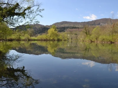 Fotograf Davor Delač
