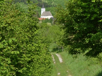 Fotograf Davor Delač