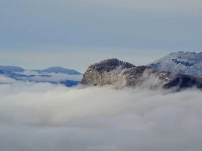Fotograf Davor Delač