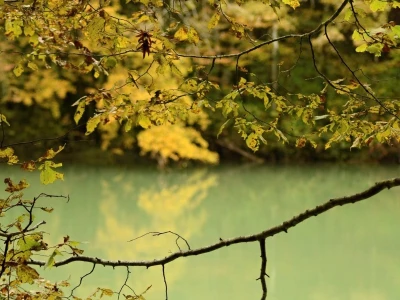 Fotograf Davor Delač