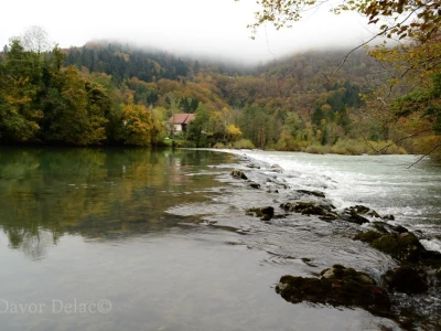 Fotograf Davor Delač