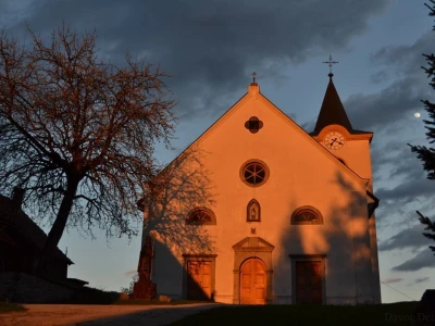 Fotograf Davor Delač