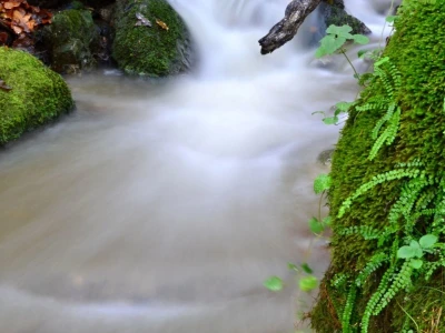 Fotograf Davor Delač