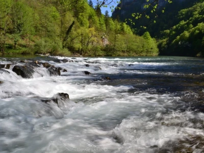 Fotograf Davor Delač