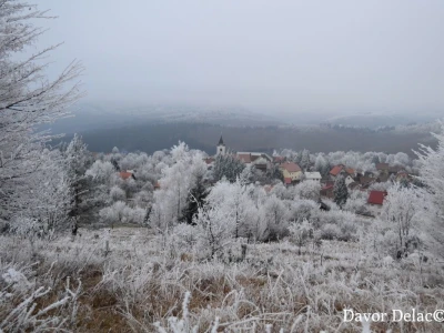 Fotograf Davor Delač