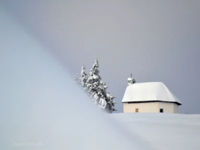 Fotograf Davor Delač