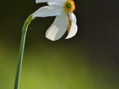 Fotograf Davor Delač