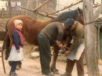 Fotograf Davor Delač