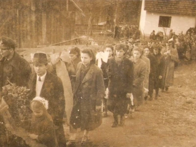 Fotograf Davor Delač