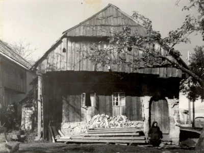 Fotograf Davor Delač