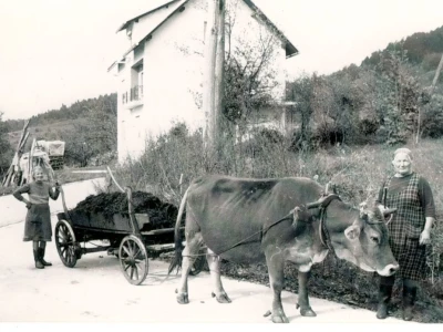 Fotograf Davor Delač