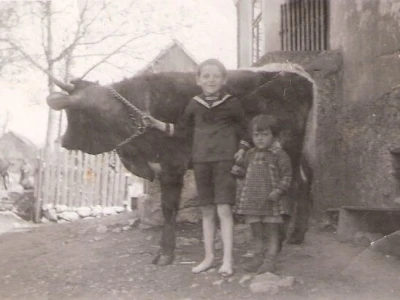 Fotograf Davor Delač