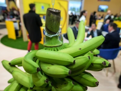 Fruit Logistica 2019