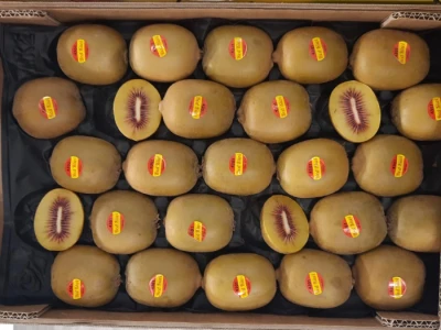 Fruit Logistica 2022