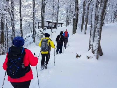 Gastro turizam u Gorskom kotaru