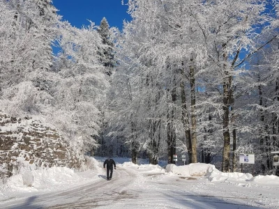 Gastro turizam u Gorskom kotaru