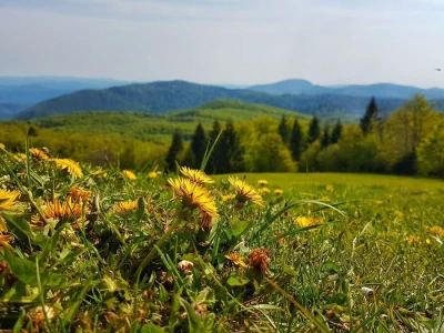 Gastro turizam u Gorskom kotaru