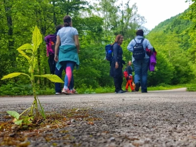 Gastro turizam u Gorskom kotaru