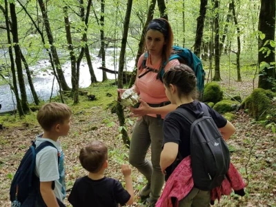 Gastro turizam u Gorskom kotaru