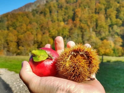 Gastro turizam u Gorskom kotaru