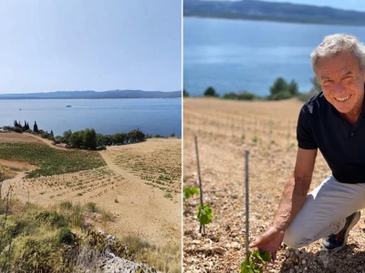 Vinska priča s otoka Brača