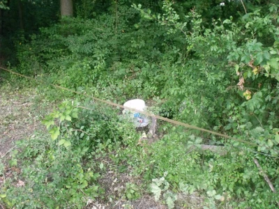 Električni pastir