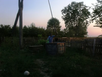 Suton na đermu