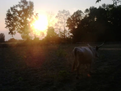 Zalazak sunca