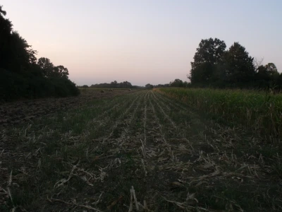 Farma Glavačević - Slukin