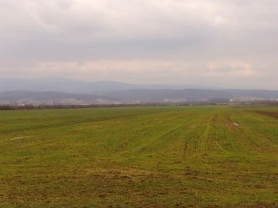 Izgladnjele usjeve treba prehraniti