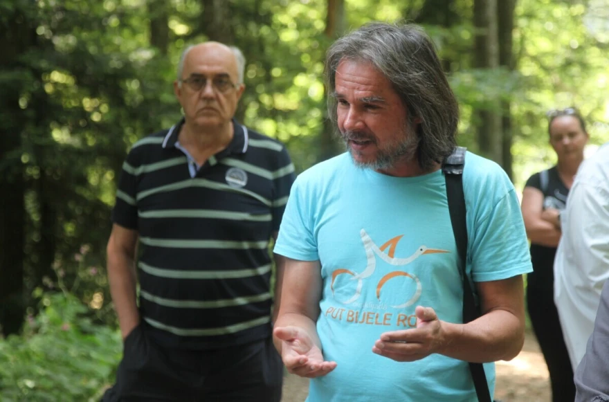 profesor ivić