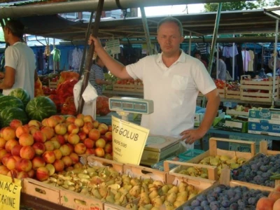 Golub na štandu