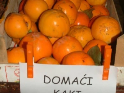 Plodovi kakija
