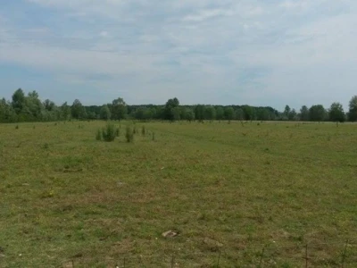 Gornji Varoš - pašnjak Gorana Hrdžića